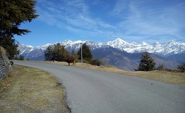 Uttaranchal With Kumaon Tour
