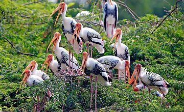 Taj Mahal Tour With Bharatpur & Ranthambore