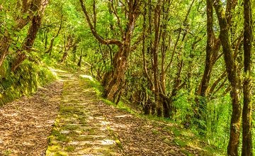 08 Days Kumaon Tour