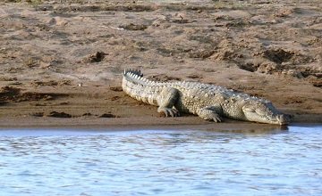 chambal1