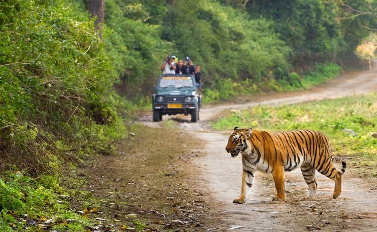 Taj Mahal with Jim Corbett National Park Tour Package 6 Days 5 Nights Wildlife Trip