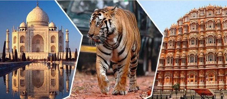 Golden Triangle Tour Package with Wildlife 7 Days 6 Nights India Safari Trip
