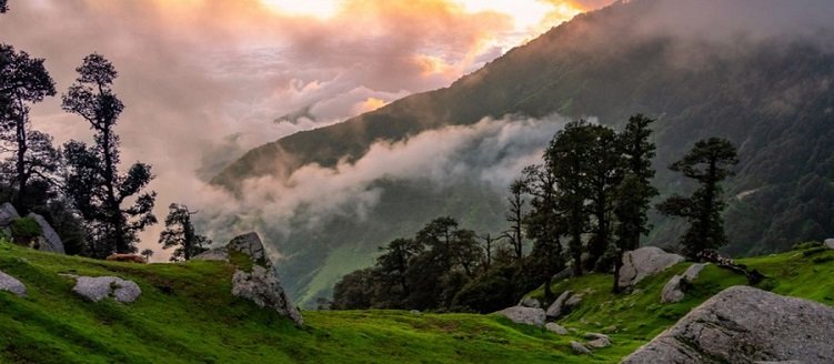 Taj Mahal Tour Package with Himalayan National Park 7 Days 6 Nights Nature Trip
