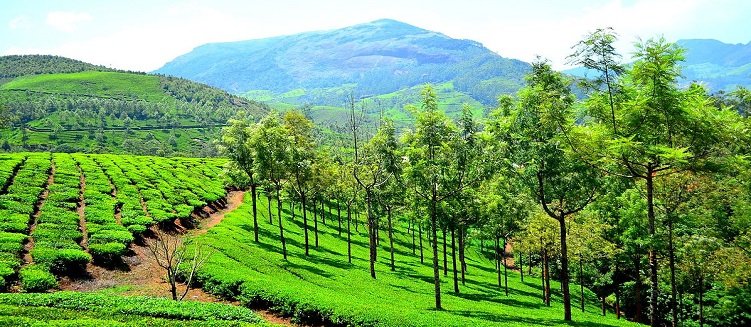 Kerala Summer Vocational Tour Package 9 Days 8 Nights Educational Trip