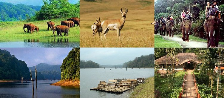 Taj Mahal Tour Package with Periyar National Park 5 Days 4 Nights Wildlife Trip