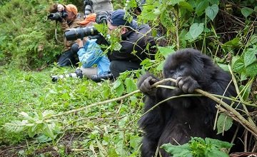 Taj-mahal-Tour-With-Gorilla-Trekking-Tour