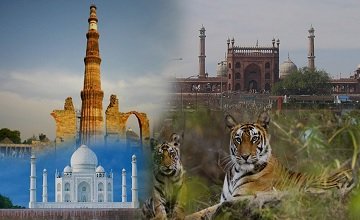 Golden Triangle Tour With Wildlife