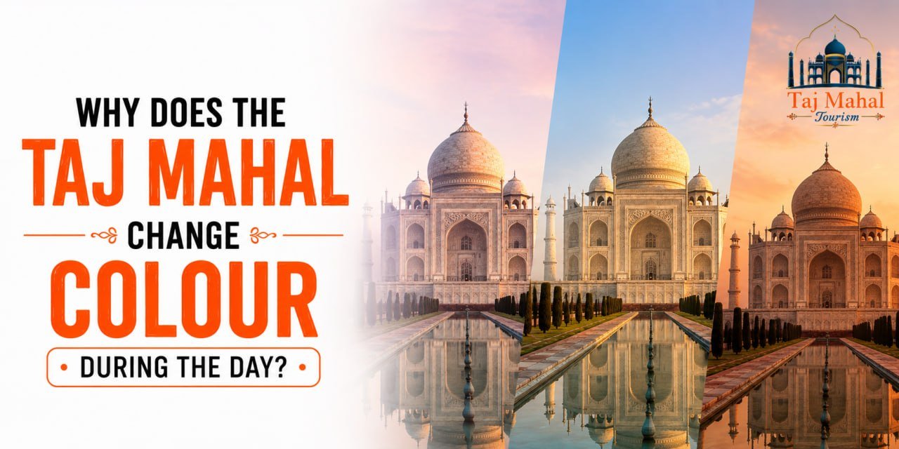 Kashmir Tour Guide